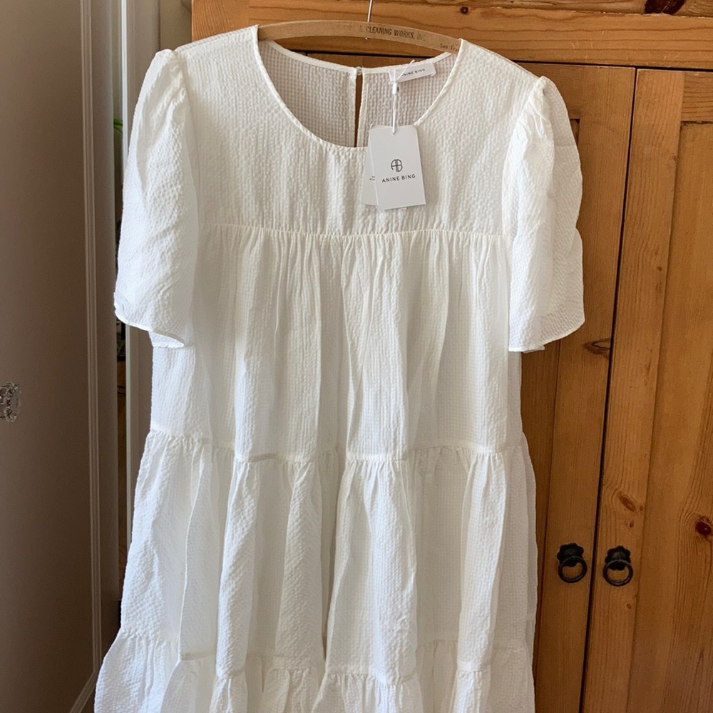 Anine Bing Dress